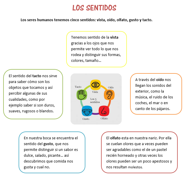 LOS SENTIDOS LOS SENTIDOS