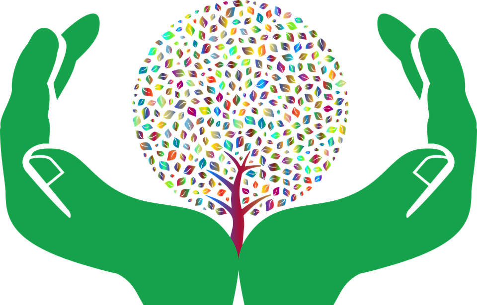 Conservación de la naturaleza. Imagen para la protección de la naturaleza.