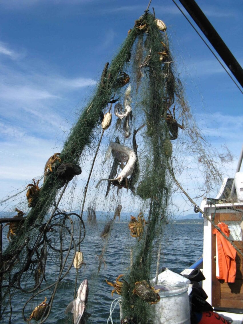 Actividad pesquera: recurso natural aprovechado por los seres humanos. Barco de pesca levantando las redes tras una jornada de pesca.