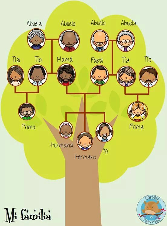 ÁRBOL GENEALÓGICO ÁRBOL GENEALÓGICO